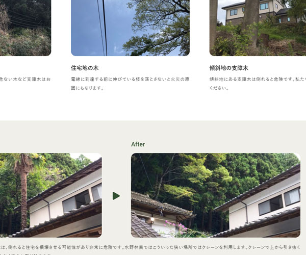 公司案例樣式